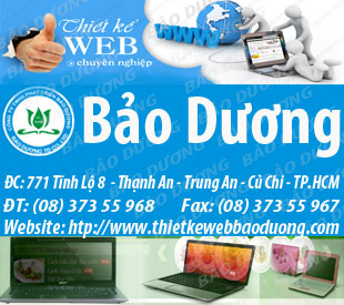 thiết kế web bảo dương